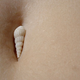 Illustration for article titled Our bellybuttons are home to hundreds of undiscovered species